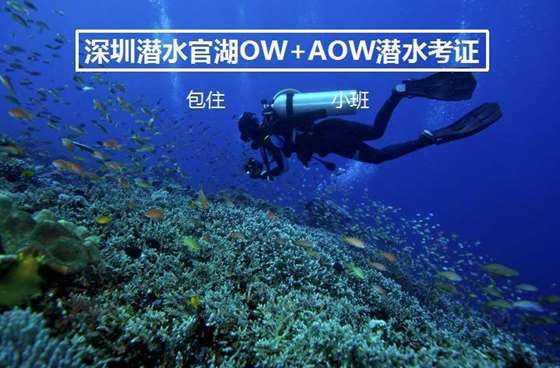 巧变同色